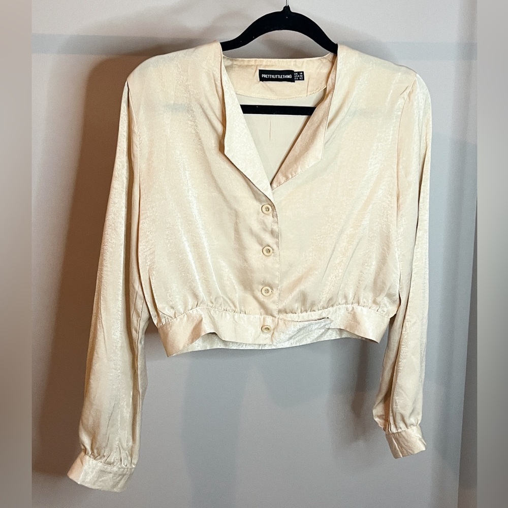 Shiny Long Sleeve Blouse
